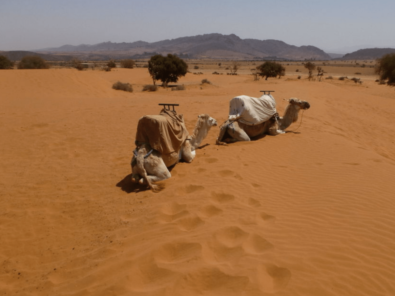 Marrakech desert trekking experience book ouarzazate tour