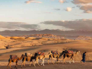  Agafay desert dinnerMorocco desert adventure itinerary