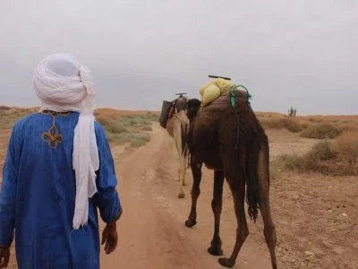 Marrakech cultural experience morocco tour packages price